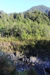 Tutuwai Hut 25 - Tauherenikau river banks in morning sun