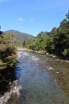 Tutuwai Hut 33 - Tauherenikau river