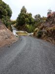 01 - Ohakune Old Coach Road - Ford