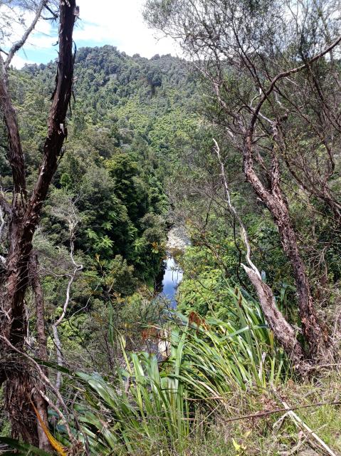 Whanganui River 13 - Mangapurua Stream
