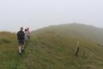 Battle Hill Farm Park 09 - Top of Puketiro Loop