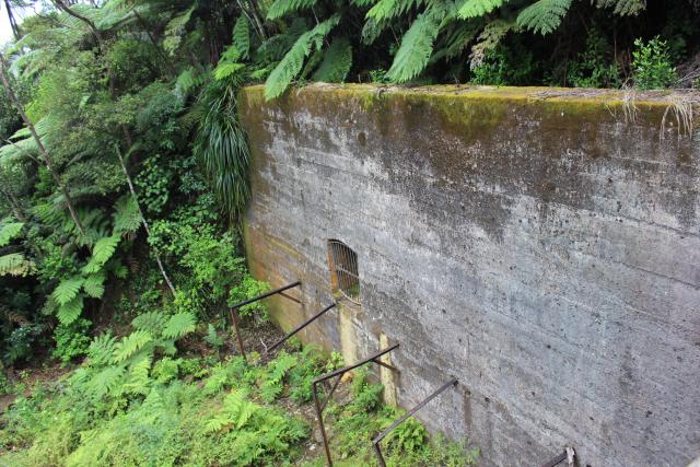 028 Karangahake Gorge - Talisman Battery