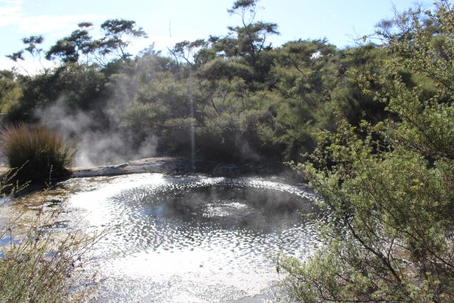 116 Tokaanu Thermal Walk