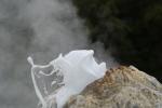 040 - Rotorua - Wai-o-tapu, Lady Knox geyser, t+2min