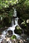 087 - Tongariro - Falls