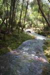 094 - Hawkes Bay - Kareaara Stream on Te Ana Falls track