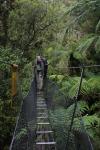 22 - Stewart Island - Jeff on a swingbridge