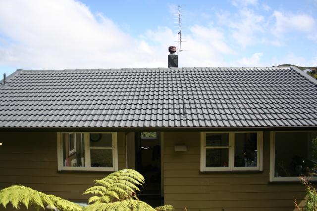 Newly painted roof - March 2011