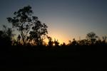 049 - Sunrise around Larrimah
