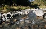 Mount Holdsworth 16 - Atiwhakatu stream