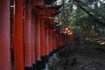 Japon - 080 - Walk of the 30,000 doors, Fushimi-Inari Taisha shrine