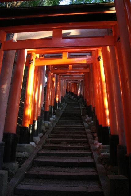 Japon - 085 - Walk of the 30,000 doors, Fushimi-Inari Taisha shrine