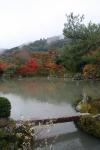 Japon - 094 - Tenryu-ji temple garden
