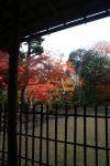 Japon - 205 - Yoshikien garden, Nara