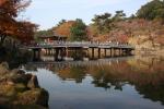 Japon - 207 - Ukimido Gazebo and Sagike pond, Nara