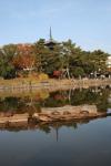 Japon - 209 - Turtles and Five story pagoda at Sarusawaike pond, Nara
